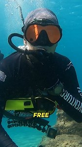 Less gear. No tanks. More diving time. Dive in today with Blu3 🤿 🌊 | BLU3