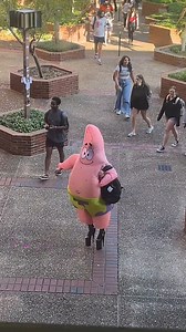 Patrick Star🌸⭐👠👜 Cr: tiktok.com/@ufbarstool #patrick #patrickcosplay #patrickstar #patrickstarcosplay #cartoncosplay #spongebob #spongebobcosplay #spongebobfriend #cosplay #funcosplay #cosplayvideo #halloween | EZCosplay Costumes