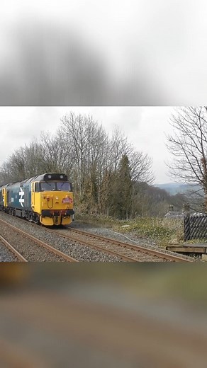 🚂 The Mighty Class 50 – A True Icon of British Rail! 🇬🇧 Few locomotives capture the heart of railfans quite like the British Rail Class 50. Built between 1967 and 1968 by English Electric, these 2,700 hp beasts were originally designed to speed up services on the West Coast Main Line before electrification took over. With their unmistakable growl, rugged looks, and thunderous 16-cylinder engines, Class 50s quickly earned legendary status. Nicknamed “Hoovers” due to the unique suction sound fr