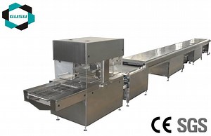 [Hot Item] Chocolate Bar Enrober Chocolate Decorating Machine