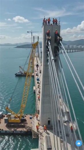 How Giant Cranes Assemble a Mega Sea Bridge! 😱⚓ #youtubeshorts #beforeandafter #satisfying
