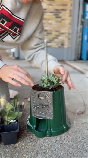 Transform an Old Gumball Machine into a Stylish Terrarium