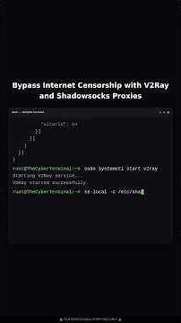 Bypassing Internet Censorship with V2Ray and Shadowsocks Proxies