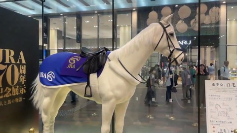 Japan: Lifelike Robot Horse Amazes Crowd At JRA 70th Anniversary Event In Tokyo