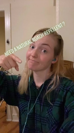 DIY Natural Roach Repellent Safe Around Pets