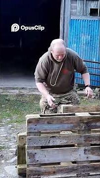 building the pallet shooting bench