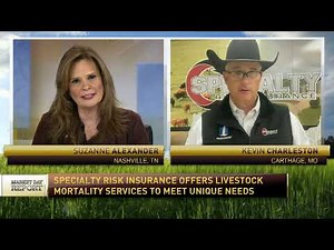 What you need to know about LRP.