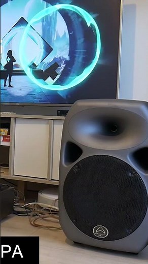 12inch PA speaker test
