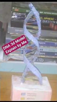 DNA structure