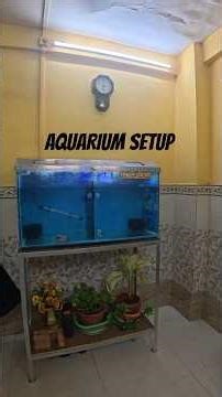 Aquarium Tour 🐠 Floran ThaiSil & F4 Floran Fish Tank in Mumbra #Shorts