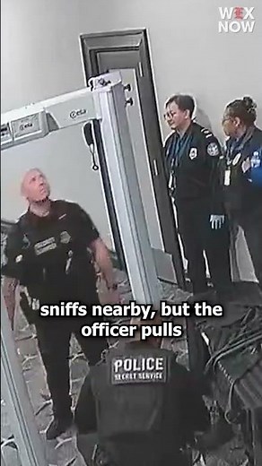 K-9 pulled away from Cole Allen seconds before he rushed past security in new footage