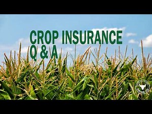 2026 Crop Insurance Q & A | ECO and SCO as well as private products