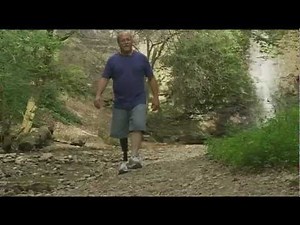 Fusion Foot: Experience Function without Compromise