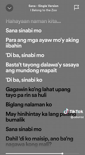 I Belong to the Zoo: Sana Full Lyrics and Meaning