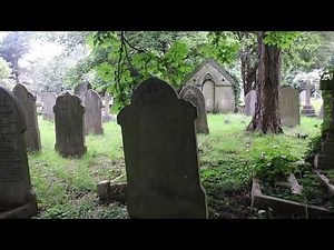 Poem - Town Owl - Laurie Lee