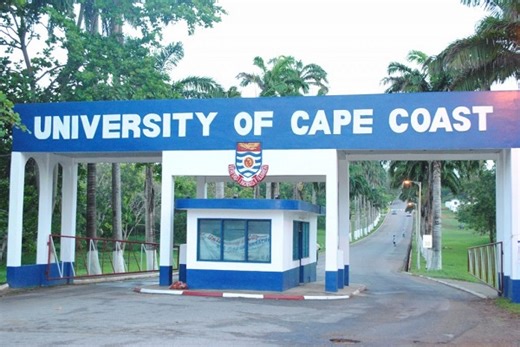 UCC releases four new yellow-fleshed cassava varieties