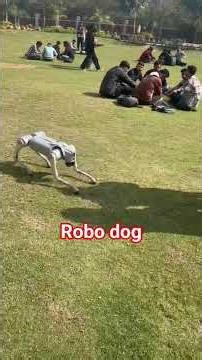 Robot Dog Goes to the Park