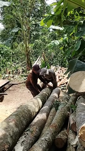 Big Pin Oak Milling: Watch This Timber Transformation!