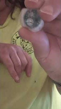 First instinct sensor change