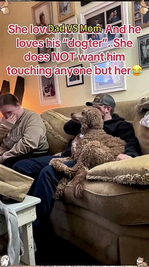 Guess who my dog’s true love is yep, my boyfriend ❤️#DogLovesBoyfriend #PetLove #doglife