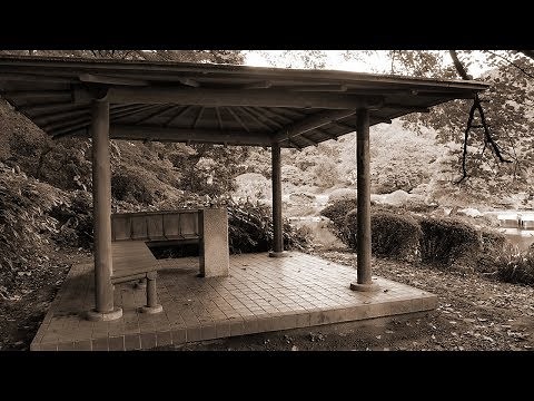 Rain - 秦基博（フル）
