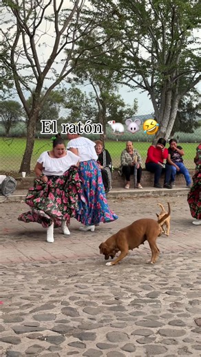 El ratón 🐁🐭🤣… El #Tepetate de Negrete, municipio de #Pénjamo, #Guanajuato #raton