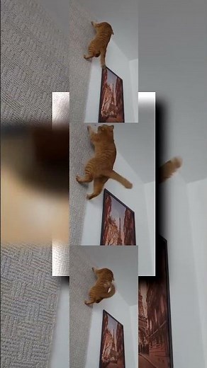 YTPMV Carefully Calculated All The Factors 😂 Scan