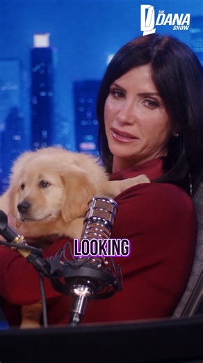 Dana Loesch on Instagram: "We Have A New Loesch Family Member!🐾 * * Subscribe to the podcast on YouTube, iTunes, Spotify, or wherever you get your podcasts. Link in bio"