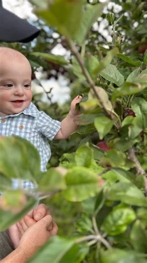Last HILLTOP weekend!!! 🎃 Well ladies & gents… it’s just about that time — the 2025 Hilltop season is wrapping up! But you know us… we’re not going out without a BANG! 💥 🍎 Join us Saturday & Sunday, 10 AM – 4 PM for one last weekend of Hilltop fun — free tractor-pulled wagon rides, pick-your-own apples & pumpkins, bounce house, live music, food, drinks, and a corn maze! 🌽🎶 🎤 Live Music Lineup Saturday, October 25th 12–2 PM – RivaJean trio 2:30–4PM – Billy Boucher’s Bluegrass Band Sunday, O