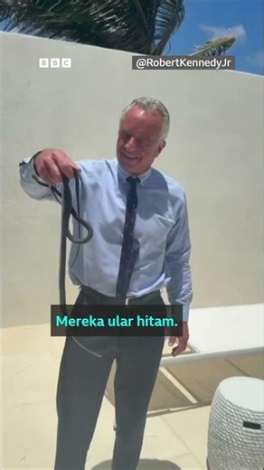Menteri Kesehatan AS Robert F Kennedy Jr menangkap ular dengan tangan kosong- BBC News Indonesia
