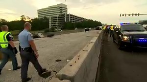 66K views · 472 reactions | 89 cows spilled onto a Georgia highway after a truck overturned. 70 of the cows could still be on the loose: https://on.whio.com/2QgTHGW | WHIO | Facebook