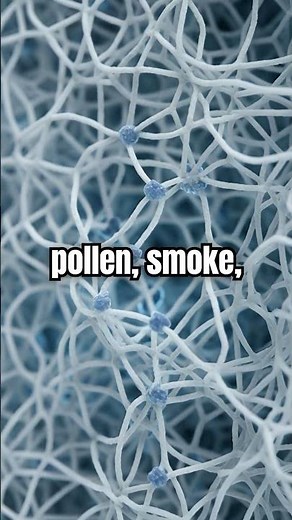 You’re Breathing This Right Now 😳 (Air Purifier Explained)