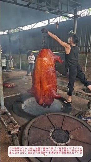 伝統の知恵！地中窯で焼き上げた丸焼き豚を引き上げる職人技【焼き豚】