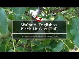 Walnuts: English vs. Black. Husk vs. Hull.