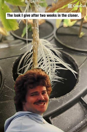Plant Humor, Jokes about the garden.