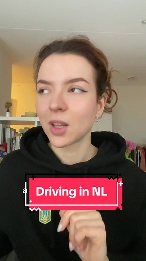5 Facts About Driving in the Netherlands