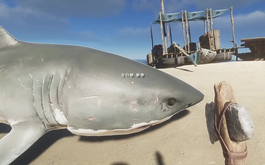 荒岛求生 (深海搁浅Stranded Deep) 3070画质 飞机游艇海岛别墅！(第三期)