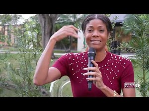 Leila Chicot interview avec Guy Wewe retour sur plus de 20 ans de carrière dans le Zouk