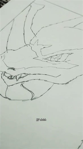 “Four Legendary Lizard Pokémon⚡