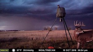 Here's how you can start getting better pics at your feeders. #MoultrieCam #WorkHardHuntSmart | Moultrie Products