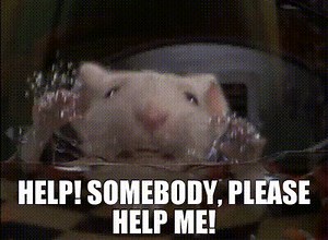 Help! Somebody, please help me!