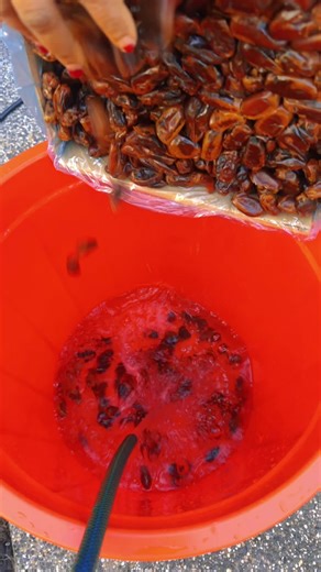 Celebrating Christmas with Eritrean TikTok Community