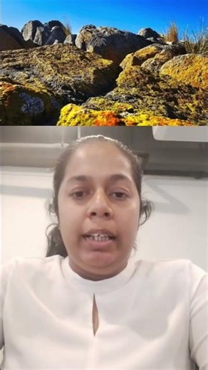 5 Landform Words You Must Know! 🏔️