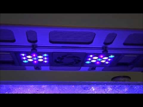 Maxspect/Razor R420R Overview