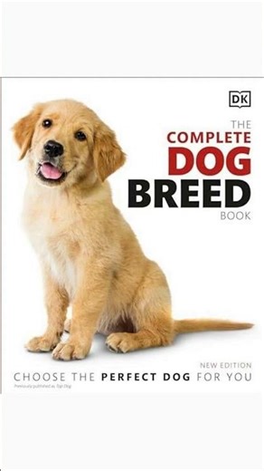 Which Dog Breed is Right for You?