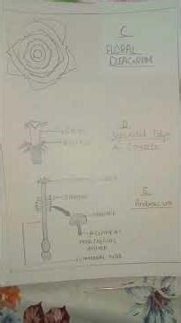 ICSE CLASS 9 BIOLOGY LAB MANUAL ... #LAB MANUAL#ICSE#STD9#std10