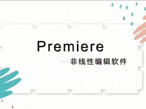 primerpremier使用教程