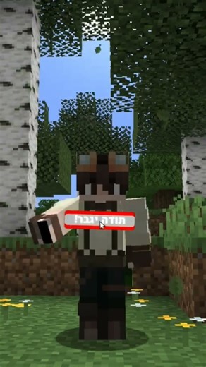 מה הרעיון שלכם??? #minecraft #מיינקראפט #דיסקורד #discord #ideas #music #gaming ₪#cover #edit