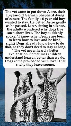 #DOGS #herstory #History #reels #TheHistoryCanvas | The History Canvas