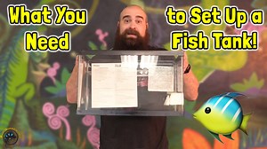 Need help getting started with your first aquarium set-up? 🐠 Eric's here to help! He's gonna show you the basic supplies you need to set up a fish tank. 👍 Specifically, a freshwater tank. For those that already have a fish tank set up, are there any other cool supplies you have for it that you think works great? 🤔 Subscribe to our YouTube channel for tons more fun videos and shorts! #fish #aquarium #fishtank #hobbies #aquariumsupplies | The Tye-Dyed Iguana